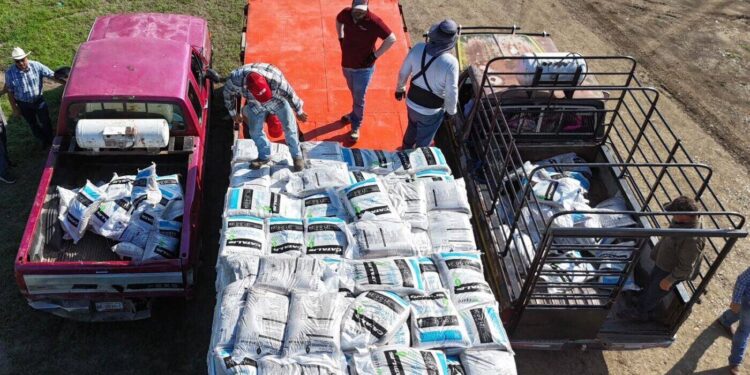 Concluye distribución de 662.5 toneladas de fertilizante a citricultores