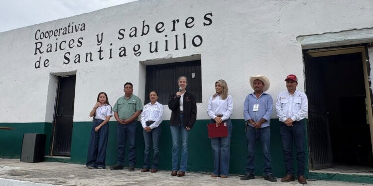 Impulsan Secretaría de Economía y UAT el aprovechamiento del laurel para fortalecer emprendimientos en Jaumave