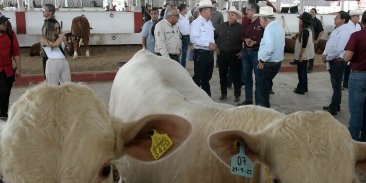 Concluye Programa de Mejoramiento Genético 2026 en la Feria Tamaulipas
