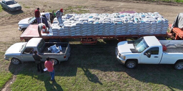 Concluye distribución de 662.5 toneladas de fertilizante a citricultores