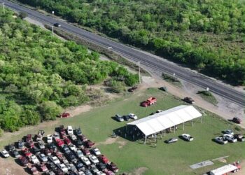Concluye distribución de 662.5 toneladas de fertilizante a citricultores