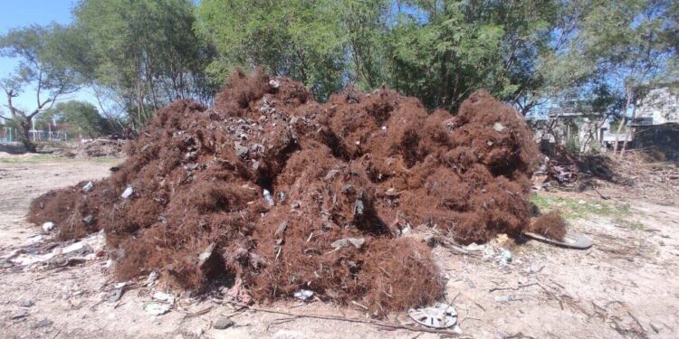 Avanza SEDUMA en trituración de llantas para reducir la contaminación en Reynosa